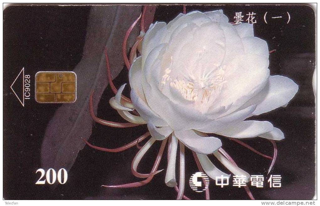 TAIWAN FLOWERS FLEUR ROSES 200U  VALID 2002/12/31  ANTIC CARD RARE - Taiwan (Formosa)