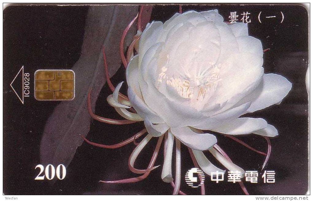 TAIWAN FLOWERS FLEUR ROSES 200U  VALID 2002/12/31  ANTIC CARD RARE - Taiwán (Formosa)