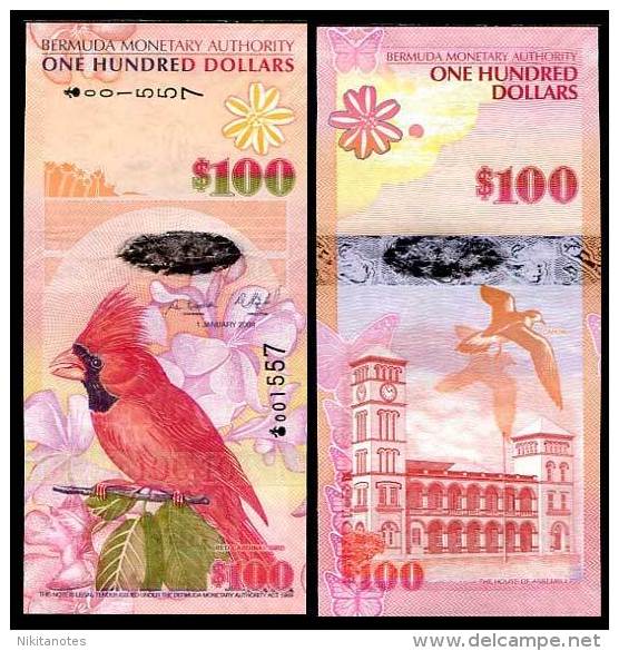 BERMUDA 100 DOLLARS 2009 P 62 HYBRID POLYMER UNC - Bermude