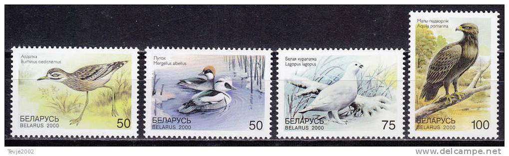 U_ Weißrußland Belarus Mi.Nr. 363 - 366 Tiere Vögel Birds Postfrisch MNH - Belarus