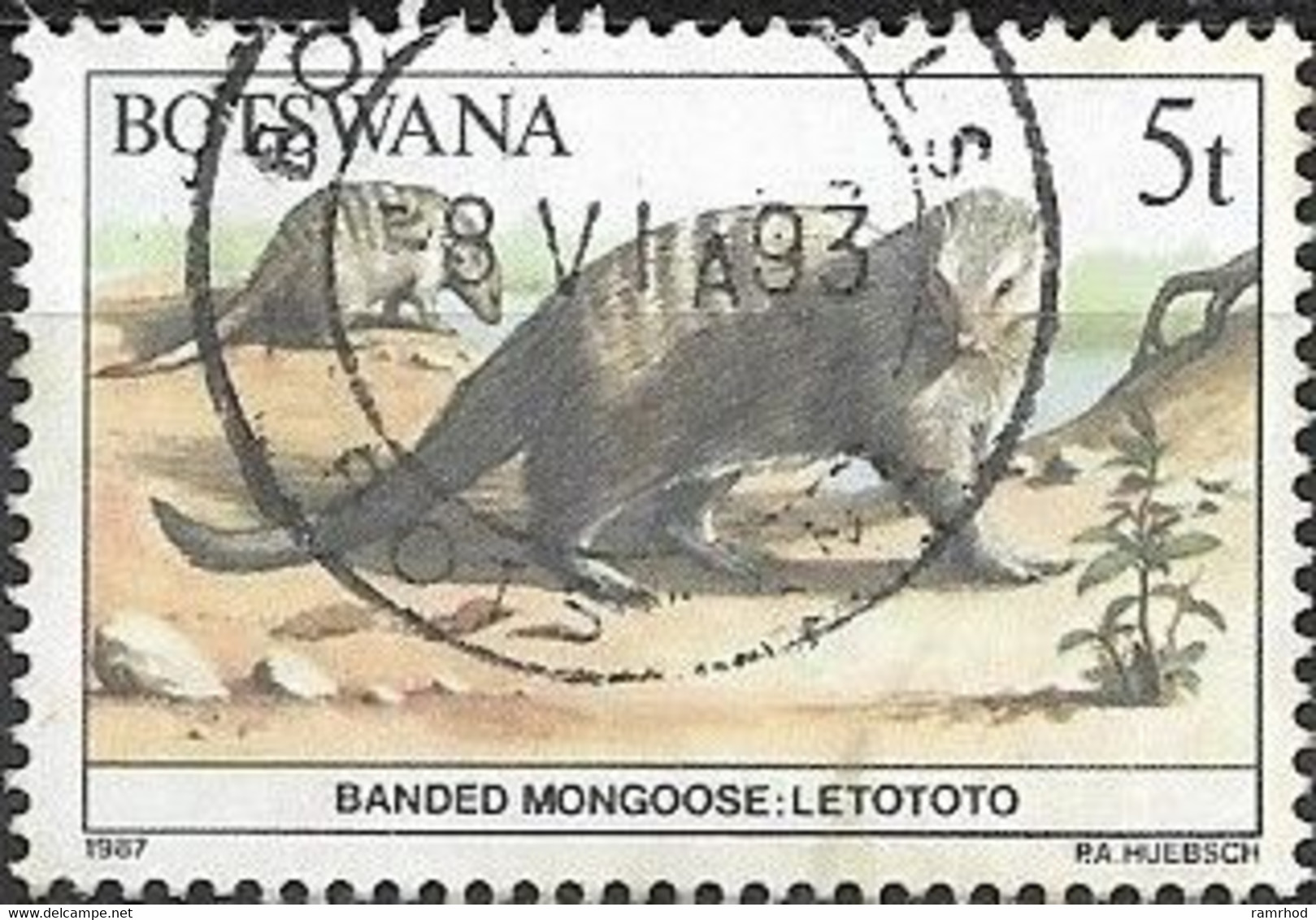 BOTSWANA 1987 Animals - 5t Banded Mongoose FU - Botswana (1966-...)