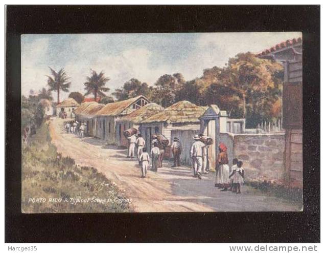 Puerto Rico & Typical Scene In Caguas édit.oilette N° 2504 - Puerto Rico