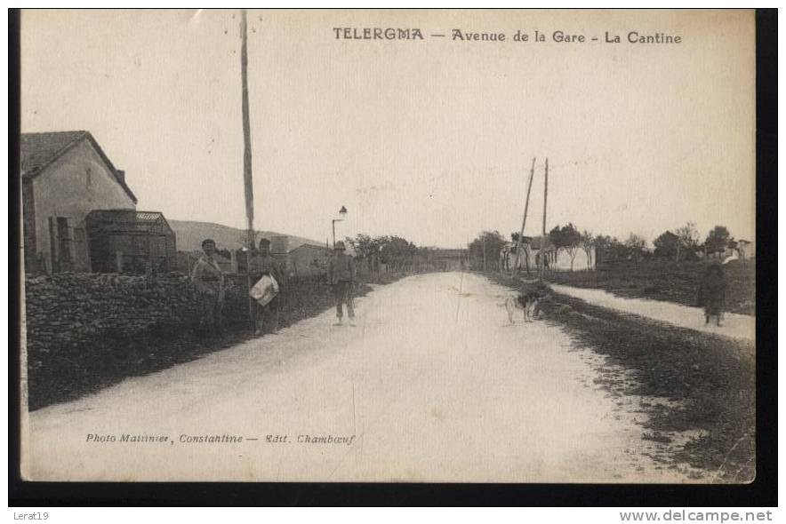 ALGERIE....TELERGMA.....AV DE LA GARE.....LA CANTINE....ECRITE..  ‹(•¿  •)› - Autres & Non Classés