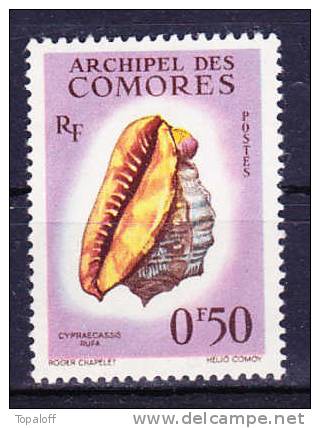 Comores N°19  Neuf  Charniere - Unused Stamps