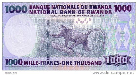 RWANDA  1 000 Francs  Daté Du 01-02-2008   Pick 31b    ***** BILLET  NEUF ***** - Rwanda