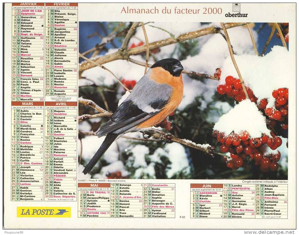 ALMANACH CALENDRIER  PTT DOUBLE  2000- JURA - OBERTHUR - OISEAUX - Big : 1991-00