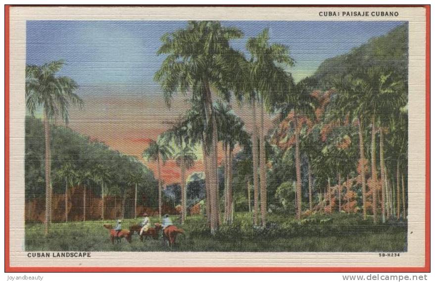 E030, Cuba , Paisaje Cubano , Cuban Landscape ,5B-H234 , 16 , Non Circulée - Kuba