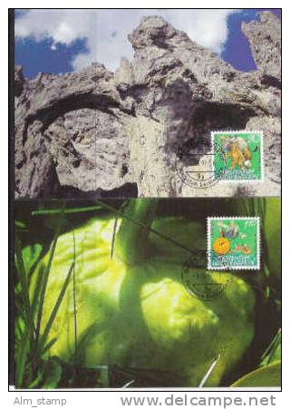 1997 Liechtenstein    Max-card 147     Mi. 1145-6   Europa: Sagen Und Legenden - 1997