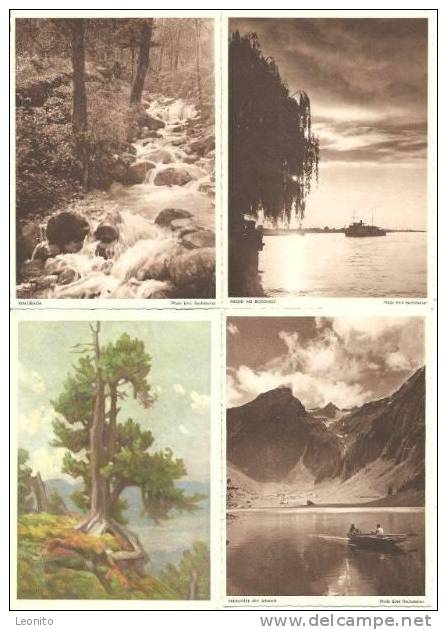 Rorschach SG 7 Ansichtskarten Ab 1933 - Rorschach