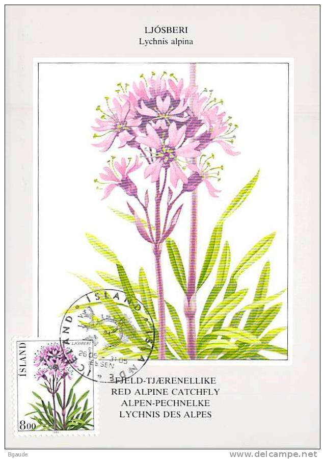 ISLANDE CARTE MAXIMUM NUM YVERT  546 FLEURS  FLORE PROTECTION DE LA NATURE - Cartes-maximum