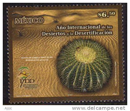 Mexique. Annee Internationale Des Deserts Et De La Desertification (CACTUS). 1 T-p Neuf ** - Sukkulenten