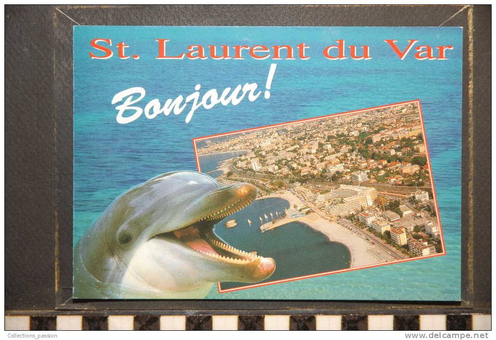 SAINT LAURENT DU VAR   DAUPHIN - Saint-Laurent-du-Var