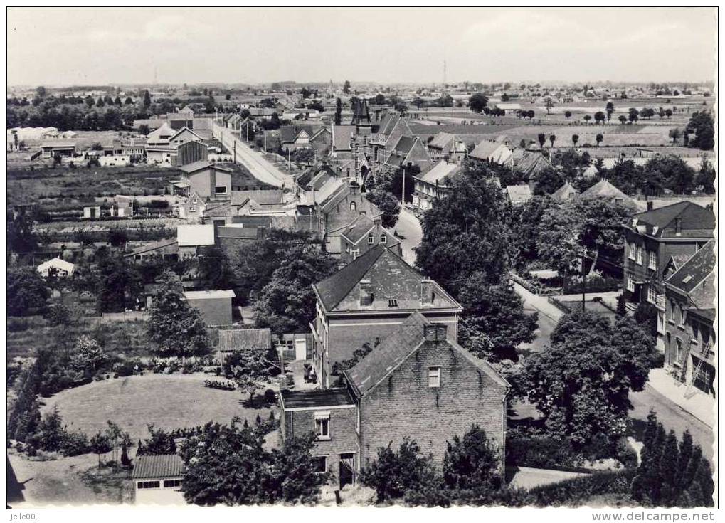 Sint Katelijne Waver  Panorama - Sint-Katelijne-Waver