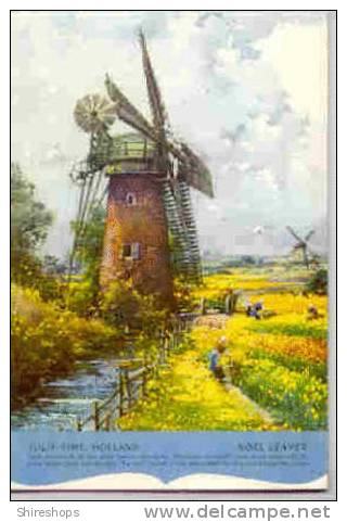 Tulip Time Holland Windmill Postcard Blotter - Andere & Zonder Classificatie