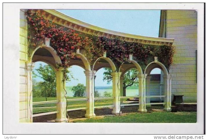 Restoration Re-planting Of Coral Honeysuckle, Lonicera Sempervines Mount Vernon Mansion Virginia - Altri & Non Classificati