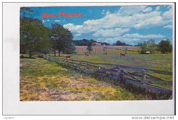 Green Pastures, Old Dominion Countryside, Virginia - Autres & Non Classés