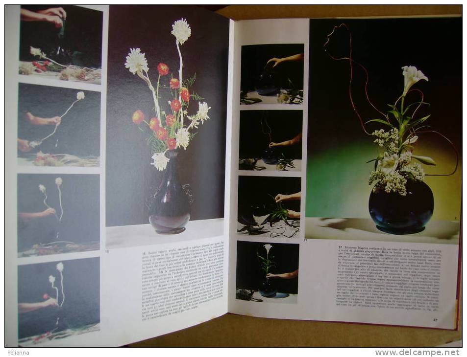 PU/5 Zamperini Pucci ARTE FLOREALE Giapponese  - IKEBANA DeAgostini I Ed 1972/FIORI - Giardinaggio