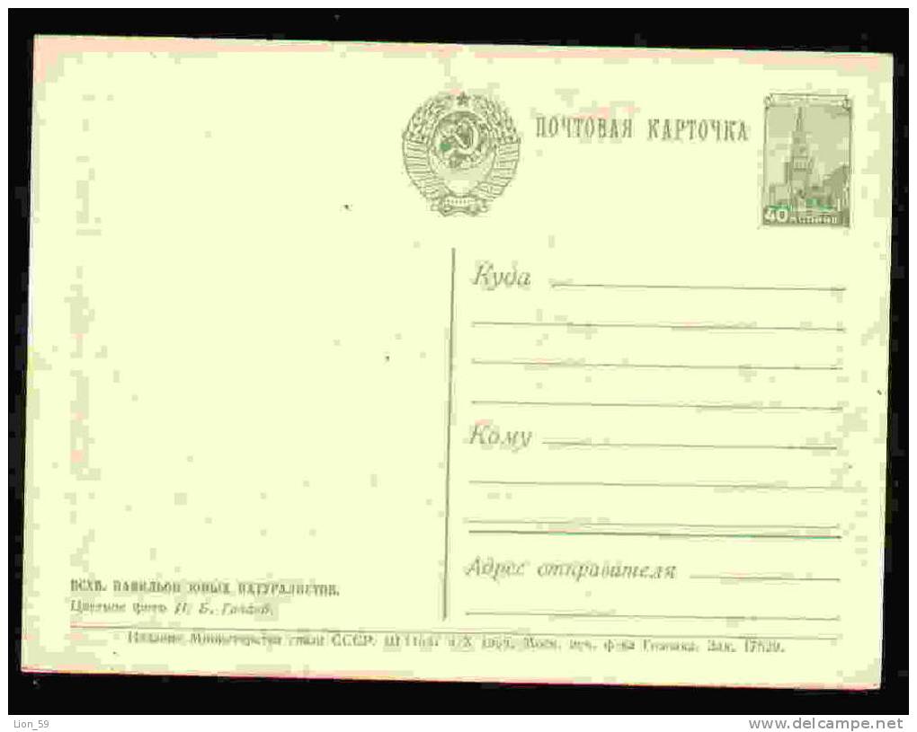 29857  Stationery Entier Ganzsache 1956 Union Agriculture Excibition Russia Russie Russland Rusland - Storia Postale