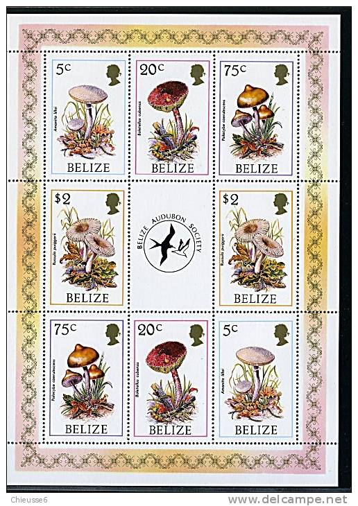Belize ** N° 829 à 832 En Feuille De 2 Séries - Champignons (7 P28 - Belize (1973-...)