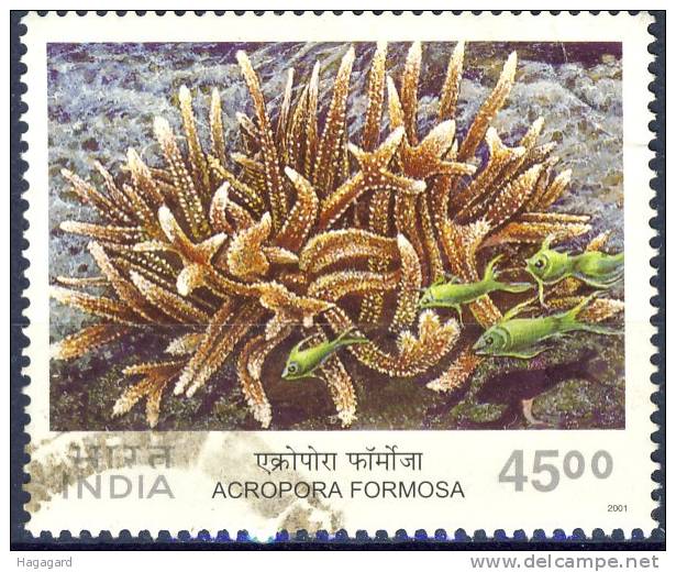 +India 2001. Coral. Michel 1845. Cancelled(o) - Gebraucht