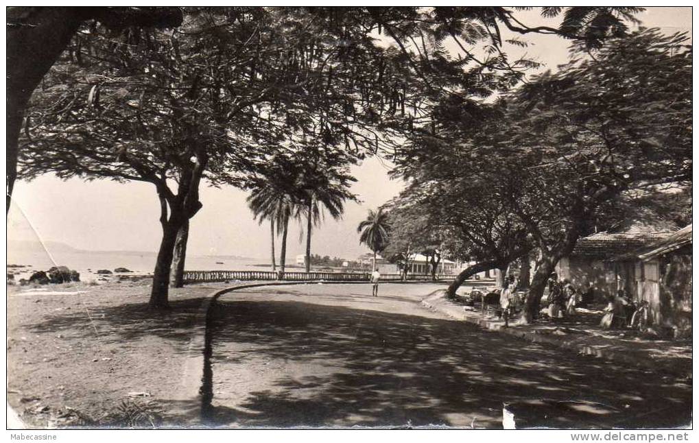 Guinée Conakry La Route De La Corniche - Guinée