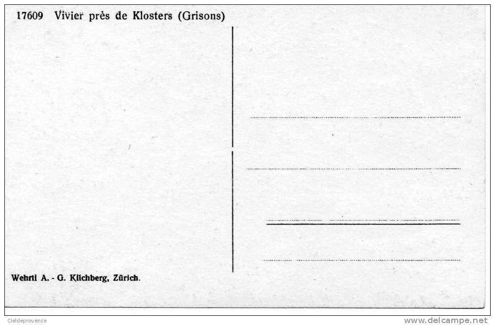 VIVIER Près De KLOSTERS (Grisons). - Klosters