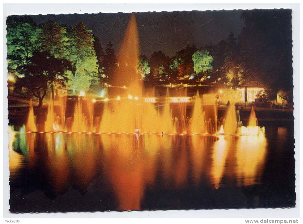 Allemagne--SAARBRUECKEN-- 1960--Exposition  Horticole Franco-Allemande N° 636 - Saarbruecken