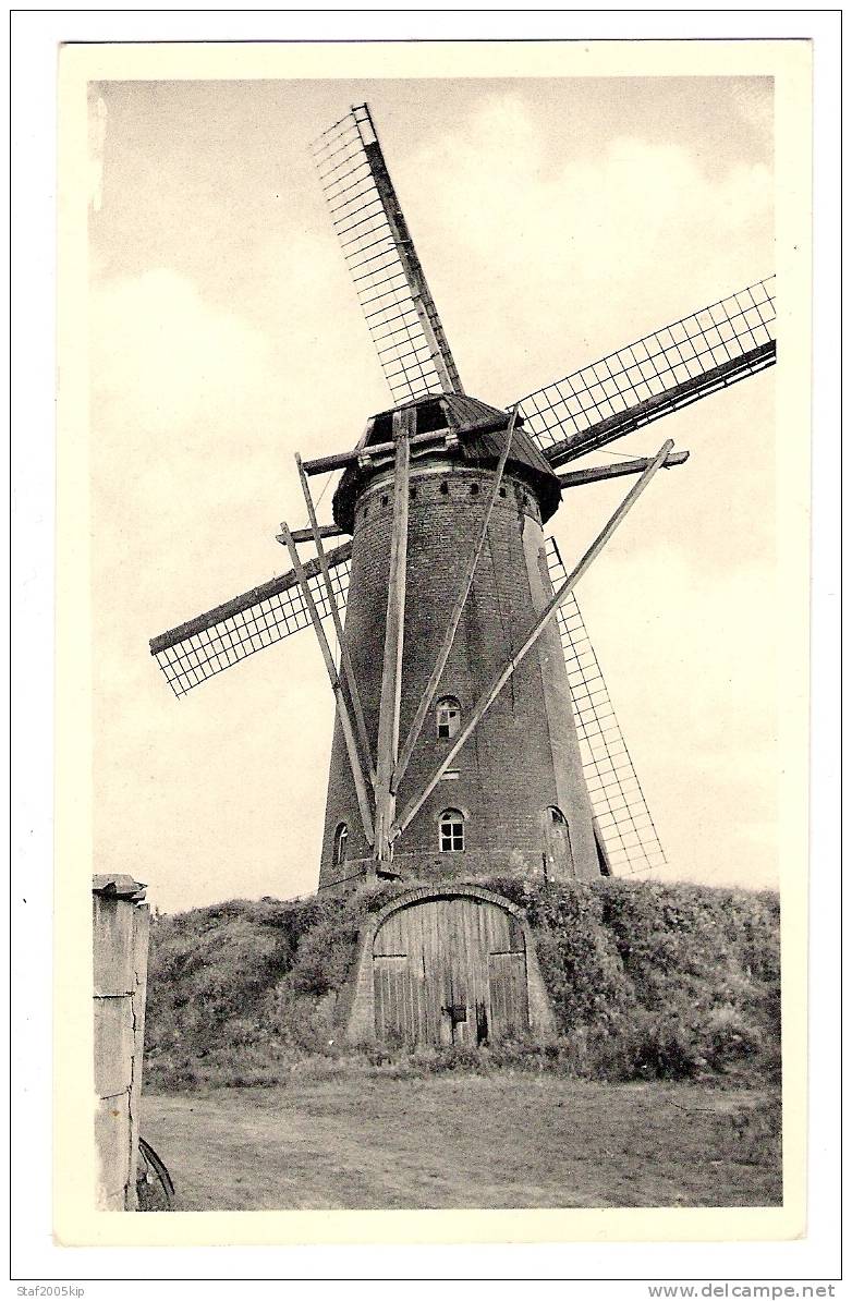 Oud -Turnhout. - De Molen - Oud-Turnhout