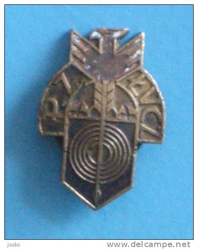 ARCHERY  ( Very Old Poland Pin ) * Badge Tir à L'arc Tiro Al Arco Bogenschießen Tiro Con L'arco Tiro Com Arco - Bogenschiessen