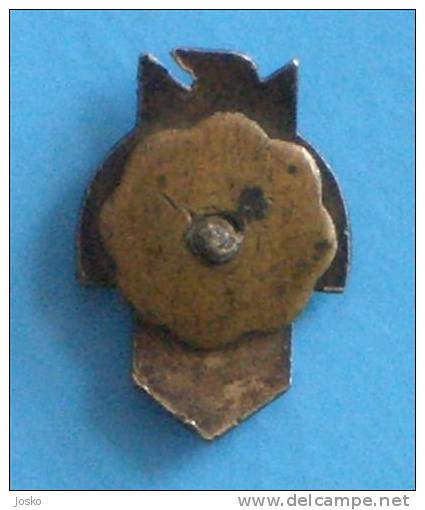 ARCHERY  ( Very Old Poland Pin ) * Badge Tir à L'arc Tiro Al Arco Bogenschießen Tiro Con L'arco Tiro Com Arco - Archery