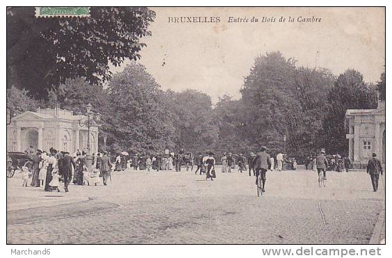 BELGIQUE BRUXELLES ENTREE DU BOIS DE LA CAMBRE - Bossen, Parken, Tuinen