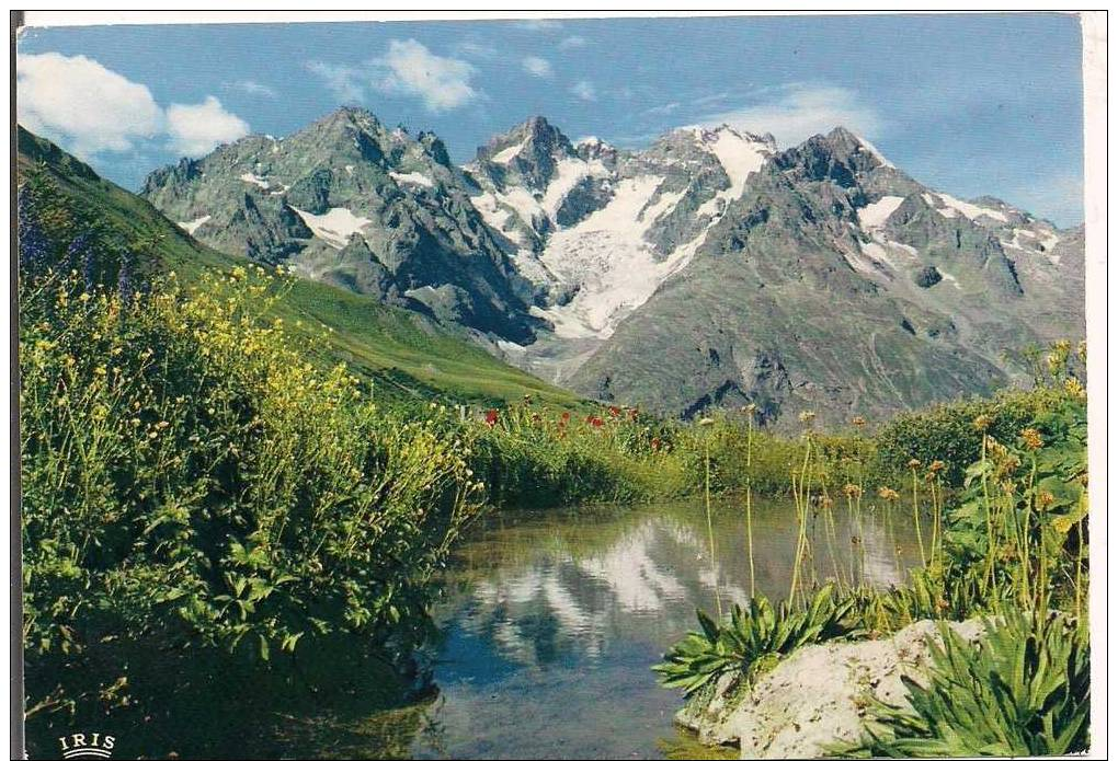 05  - Col Du LAUTARET  (2058m) - Jardin Alpin Et  La Meije - 1970- Achat Immédiat - Autres & Non Classés