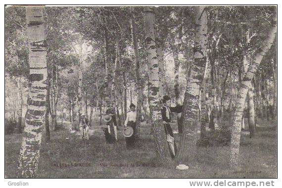 SALLELES D'AUDE VUE DU SOUS BOIS DE LA NATION (ANIMATION)  1905 - Salleles D'Aude