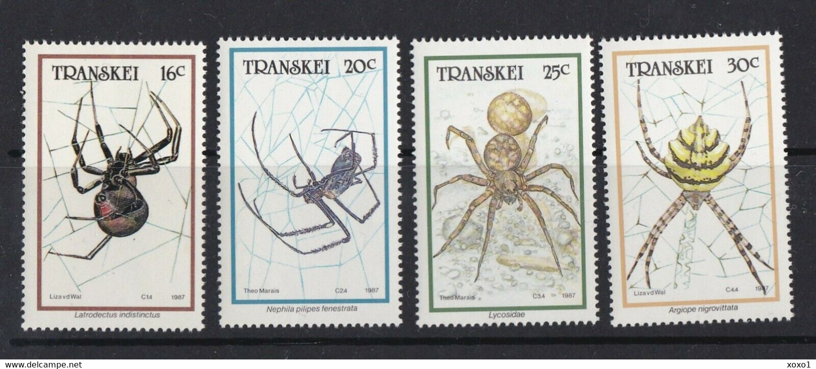 Transkei South Africa 1987  MiNr. 206 - 209 Spiders Insects 4v MNH**  3,50 € - Spinnen