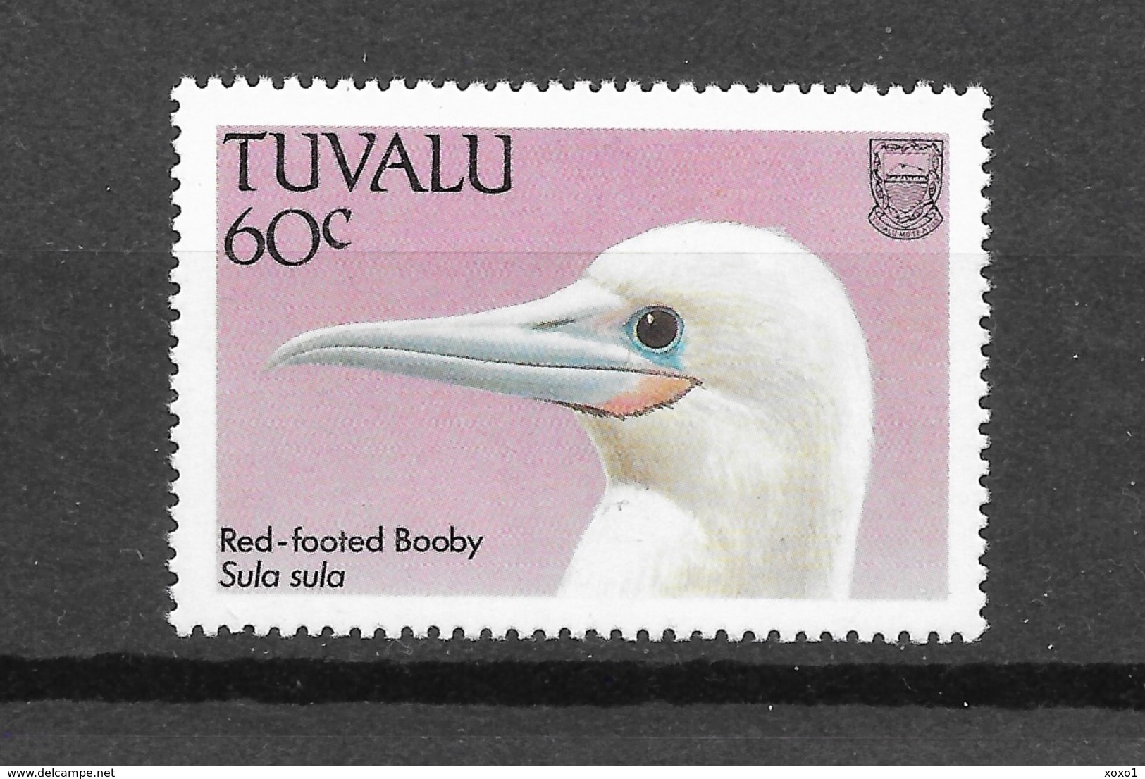 Tuvalu 1988 MiNr. 500 Birds Red-footed Booby 1v  MNH** 0,80 € - Albatros