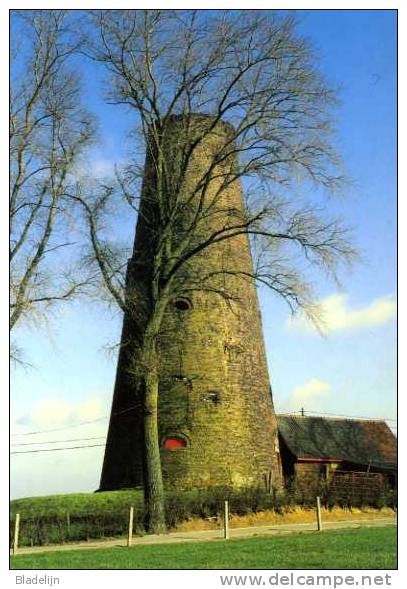 INGELMUNSTER (W.Vl.) - Molen/moulin - Indrukwekkende Hoge Romp Van De Doornmolen, Uitgebrand In 1883. Opname: 2000. - Ingelmunster