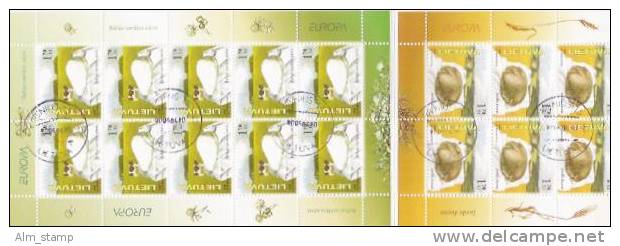 Litauen Booklet  Yv. 761-2 Mi. 871-2 Used Europa - 2005