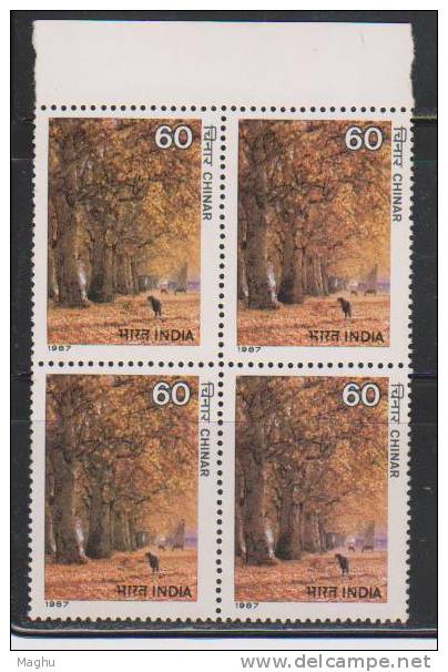 India 1987 MNH, Block Of 4., Indian Trees, CHINAR, - Blocchi & Foglietti
