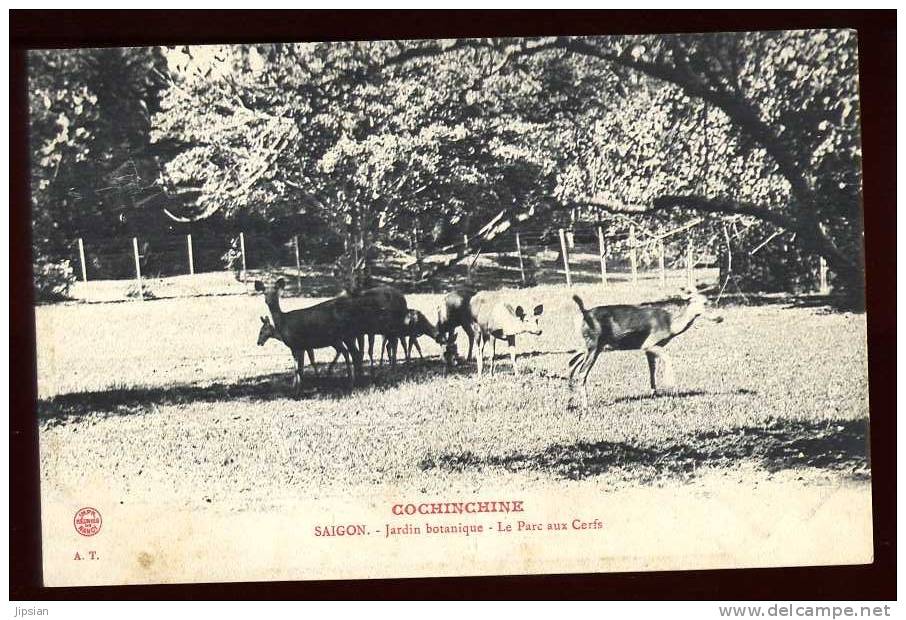 Cpa Viet Nam Cochinchine Saïgon Jardin Botanique Le Parc Aux Cerfs         A3 - Viêt-Nam