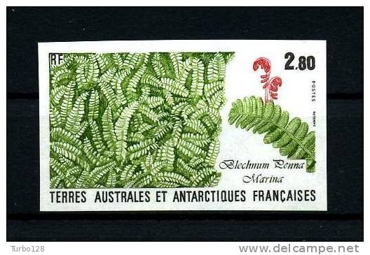 ... RARE ...TAAF 1989 N° 143 ** (Dallay 146) NON DENTELE.  Neuf MNH SUPERBE Flore Antarctique Blechnum Penna Marina - Ongetande, Proeven & Plaatfouten