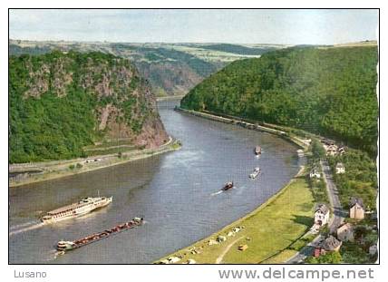 Rhein - Lorelei - Loreley