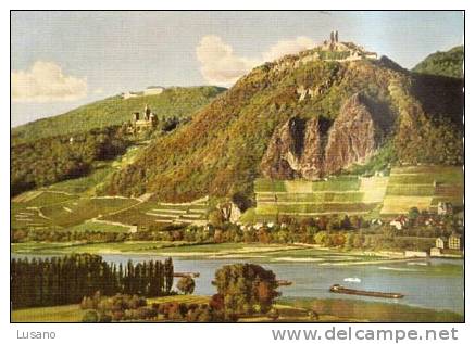 Drachenfels, Drachenburg Und Petersberg Am Rhein - Petersberg