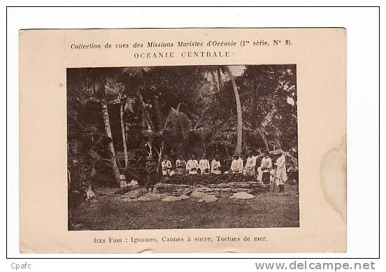 Iles Fidji : Ignames, Cannes à Sucre , Tortue De Mer / Missions Maristes D'Océanie - Wallis En Futuna