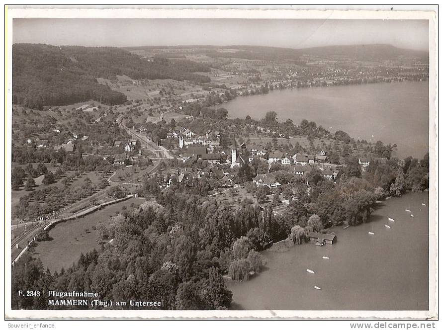 CP Mammern Am Untersee Flugaufnahme  Thurgovie Suisse - Mammern