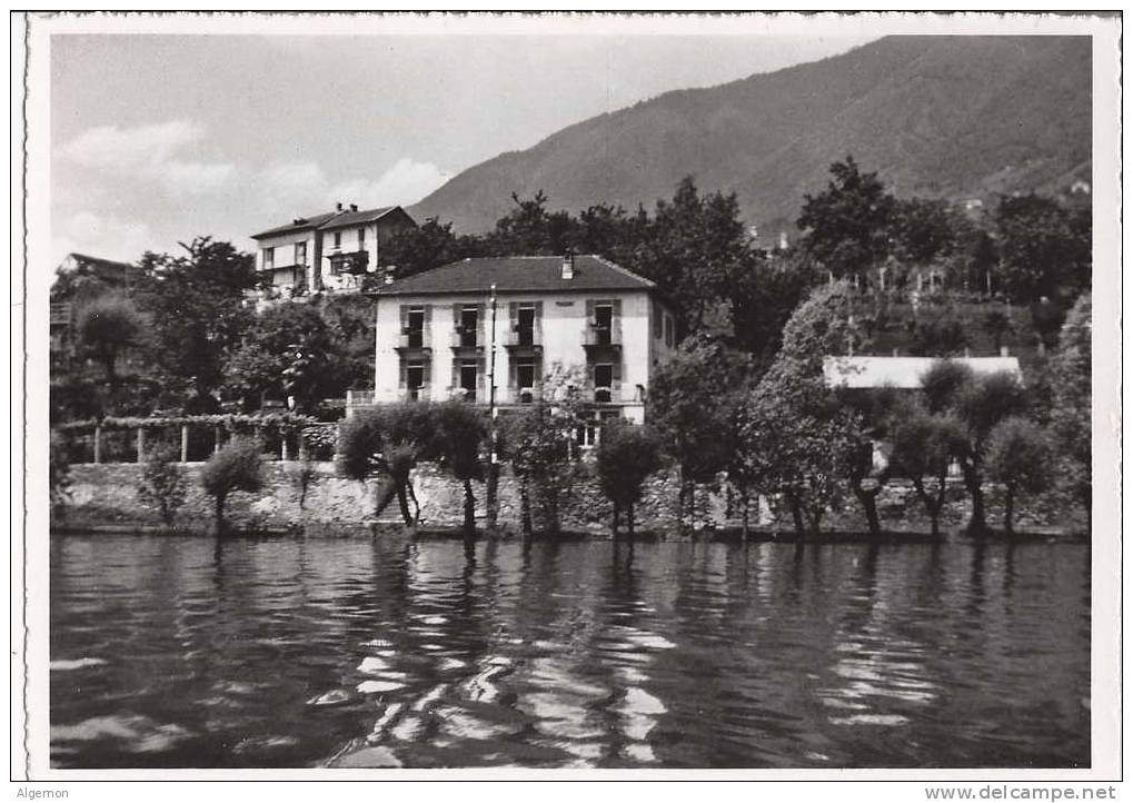 1953 - Pension Loreley Minusio - Minusio