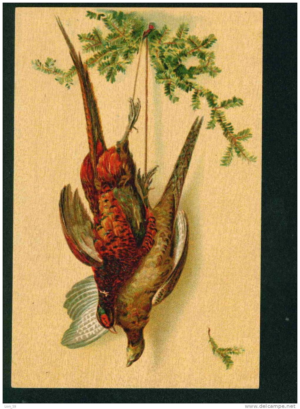 31072  Illustrator ?? Greeting - HUNTING  PHEASANT FASAN FAISANE  1900s Pc Series 385 DRUCK VERLAG V. WEZEL & NAUMANN - Before 1900