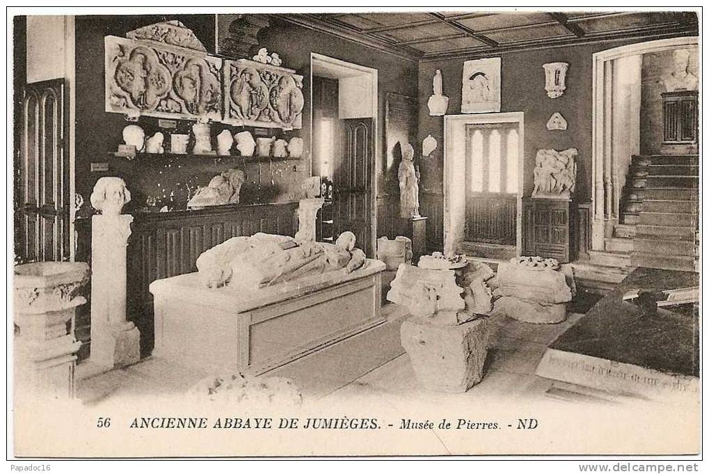 76 - Ancienne Abbaye De Jumièges - Musée De Pierres - ND 56 (non Circulée) - Jumieges