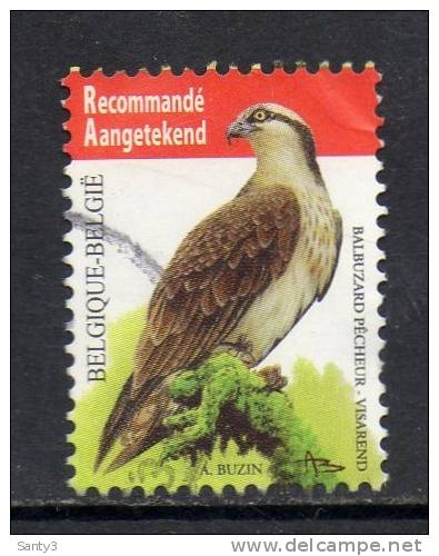 Belgie, OCB  Jaar 2011, Hoge Waarde, Vogels, Visarend, Prachtig, Gestempeld, Zie Scan - Oblitérés