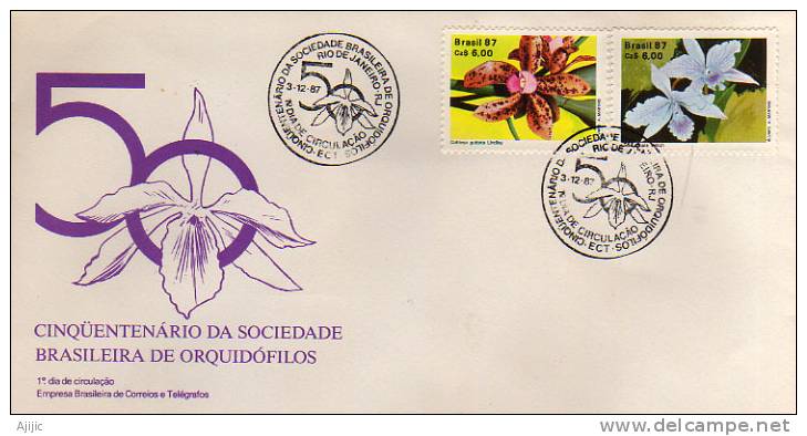 BRESIL.Societe Bresilienne Des Eleveurs D'Orchidees. Un FDC  1987 - Briefe U. Dokumente