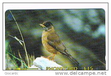 FALKLAND - GPT  - 2000 UCCELLI: BIRDS ( FALKLANDS THRUSH, TURDUS FALCKLANDII) CODE 339CFKC  -  (USED)  -  RIF. 1067 - Songbirds & Tree Dwellers